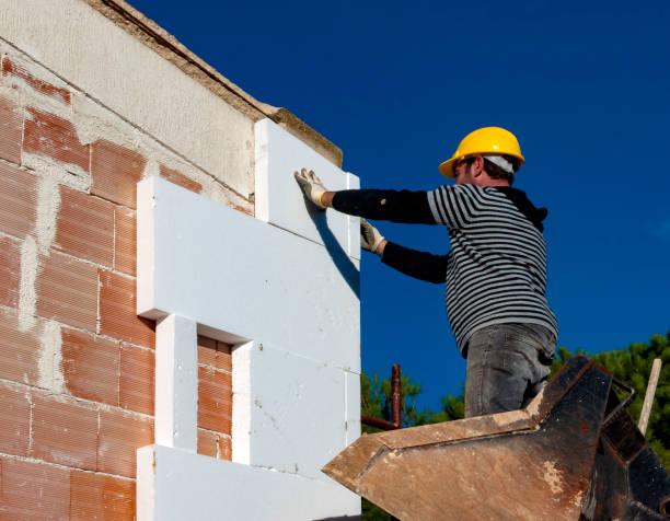 Best Local Insulation Services  in Angola On The Lake, NY