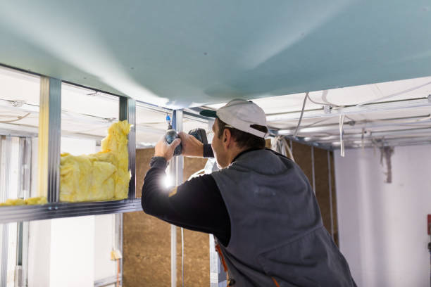 Best Crawl Space Insulation  in Angola On The Lake, NY