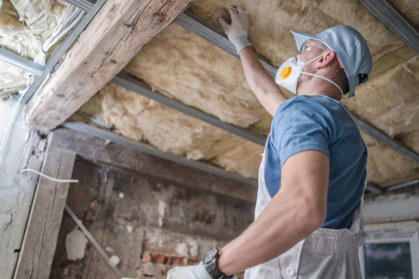 Best Spray Foam Insulation  in Angola On The Lake, NY