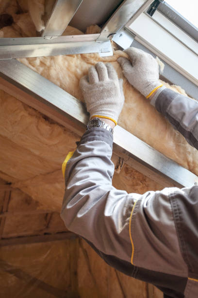 Best Insulation Inspection Services  in Angola On The Lake, NY