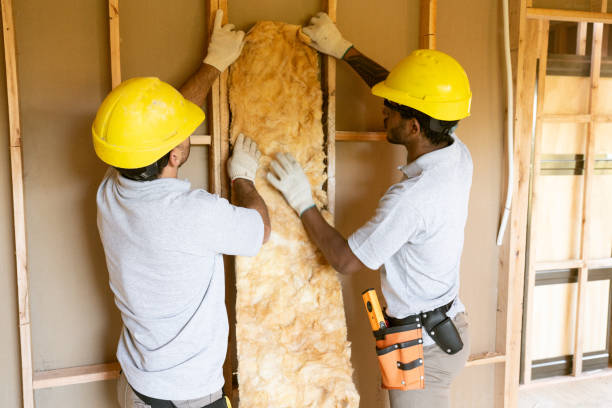 Best Attic Insulation Installation  in Angola On The Lake, NY