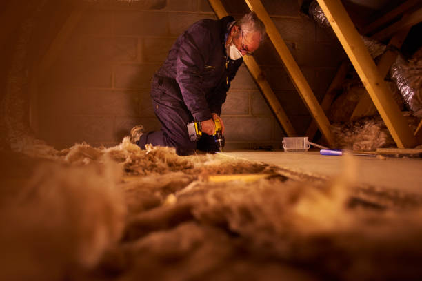 Best Garage Insulation Installation  in Angola On The Lake, NY